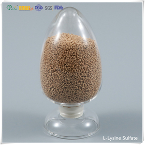 Feed Additive lysine sulphate 70% feed grade