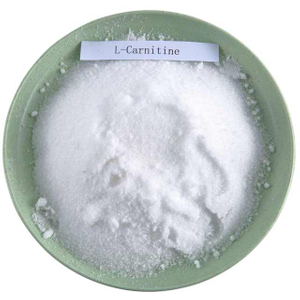 L-carnitine Nutritional Supplement Food Grade Amino Acid CAS 541-15-1