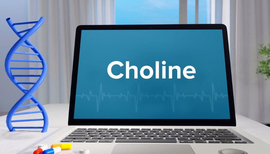 Relationship between Methionine, Choline and Betaine in Poultry